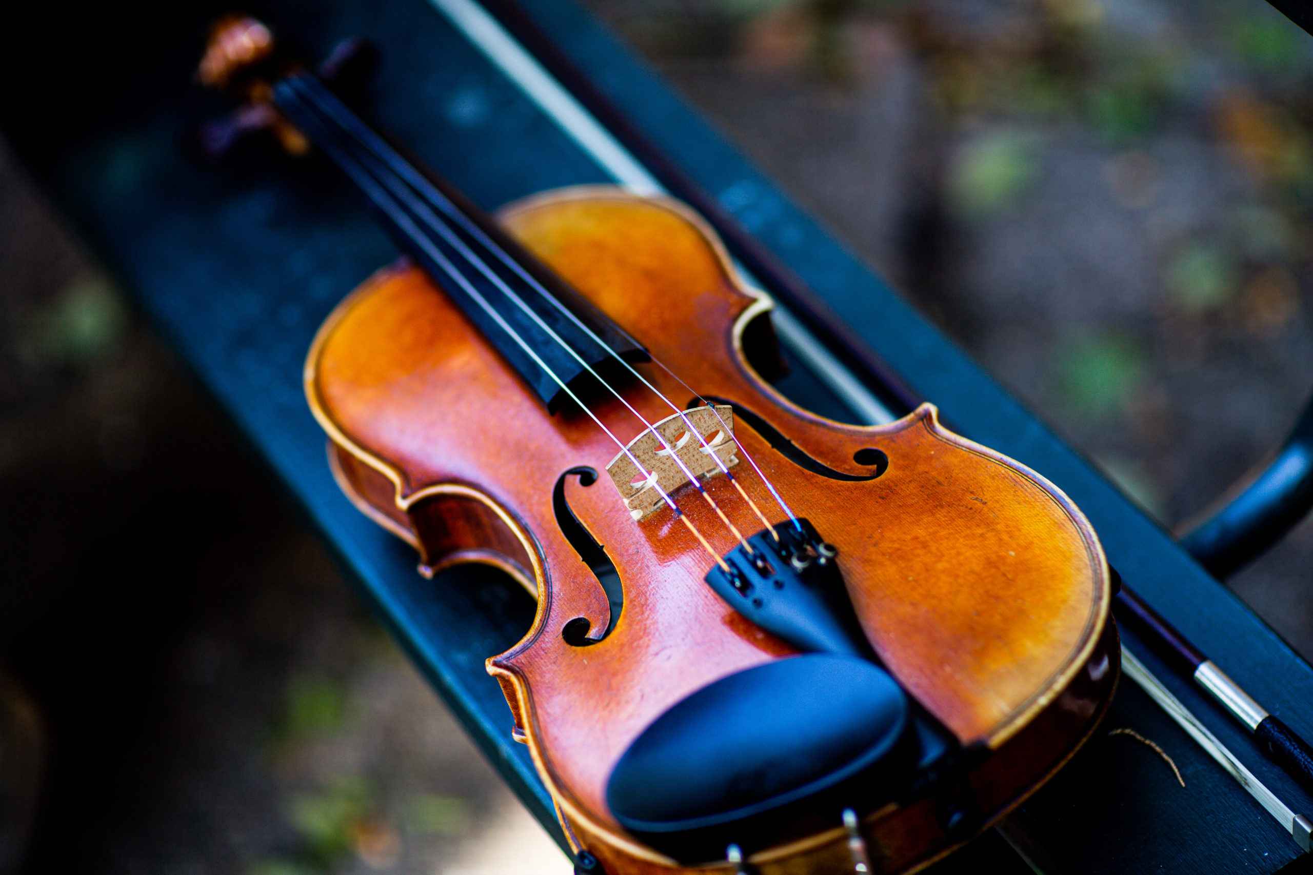 Violin Lessons at Sage Music